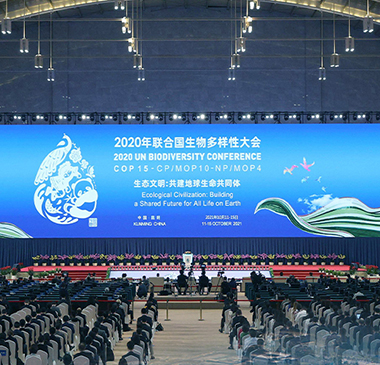 联合国生物多样性大会（COP15）